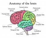 mind.jpg