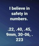 Safety in numbers.jpg
