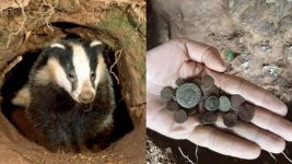 badger-unearths-roman-coins-678x381.jpg