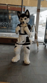 1663349262571.gif