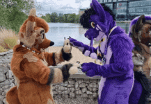 1663361488981.gif