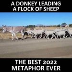 democrat donkey.jpg