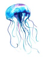 jellyfishpainting.jpeg