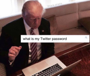 1668993595142.png
