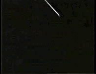1686753184384.gif