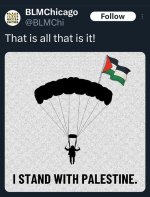 blmchicago.jpeg