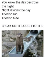 1708367417209.png