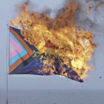 pride-2024-twitter-avatar.png