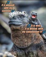 1724894909652.png