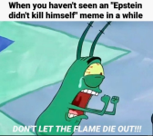 1738639172574.png