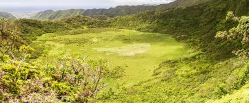 Kaau_Crater_Trail-Inside_Kaau_Crater.jpeg