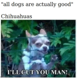 1740742345867.png