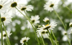 IMG_6267.jpg
