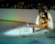 iceskaterfailwall.webp