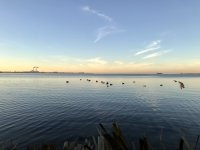 IMG_1072.jpeg