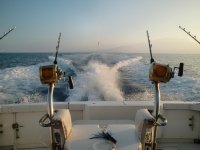 sportfishingdoublereels.jpg