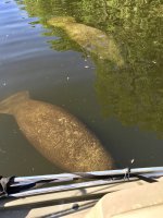 IMG_1297.jpeg