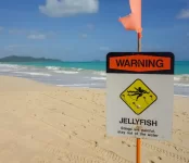 boxjellyfishwarning.webp