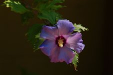 IMG_9998.jpg