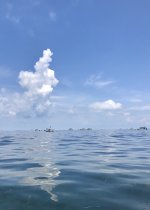 IMG_1757.jpeg