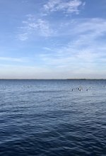 IMG_1908.jpeg