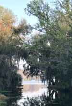 IMG_2131.jpeg