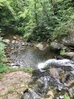 IMG_2600.jpeg
