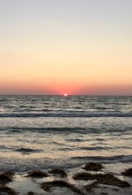 IMG_4204.jpeg
