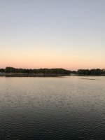 IMG_2923.jpeg