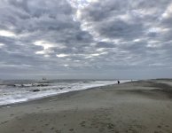 IMG_3033.jpeg