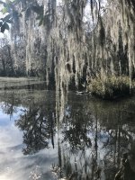 IMG_3097.jpeg