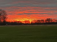 IMG_0565.jpeg