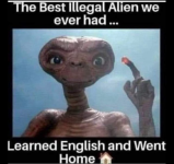 1747089292298.png