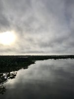 IMG_3139.jpeg