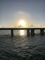 IMG_3406.jpeg