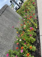 IMG_0438.jpeg