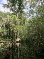 IMG_3615.jpeg