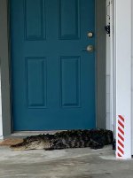IMG_4384.jpeg