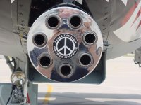 A-10 gun.jpg
