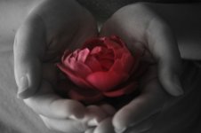 12d1d14e-5ba6-4f54-8321-6a6138cee5a9_zpsvbwodnb9.jpg
