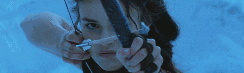 archerydeadaim.gif archerydeadaim.gif