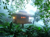 vanya-tree-house.webp