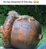 1780352331205.webp