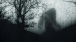 bigfootinthefog.webp