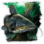 channelcatfish.webp channelcatfish.webp