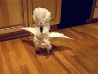 1789323463984.gif