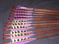 purplefletchedtradarrowsrubynocks.webp purplefletchedtradarrowsrubynocks.webp