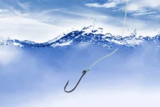 barehook.webp