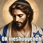 ok-meshuggeneh.webp