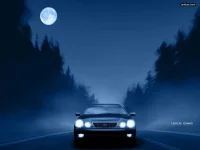 the-artapety_new725.webp